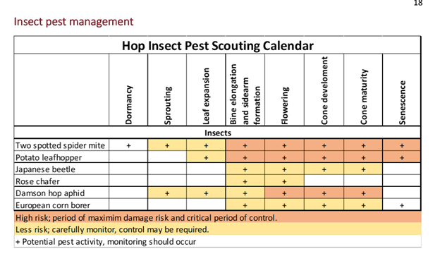 7-15-insect scouting calendar hop.png